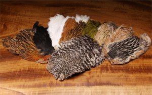 Pechetruite 1 x Cou de Coq Indien - Badger pour Montage de Mouche de Peche