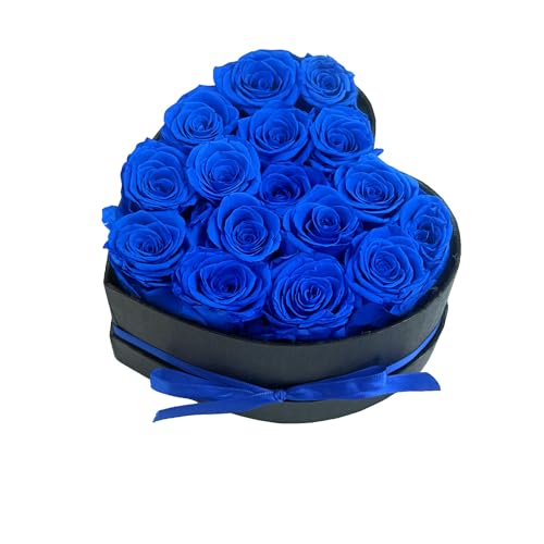 Qutawua Preserved Roses Heart Shape Box Forever Flowers(Blue 16 Roses)