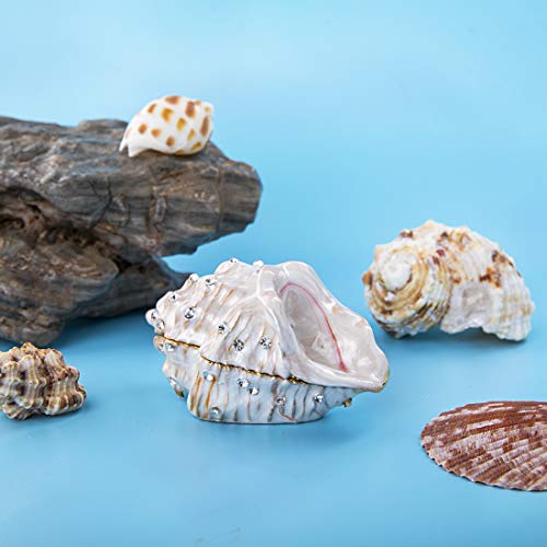 H&D Hyaline & Dora Metal Glass Small Seashell Figurine Collectible Ring Jewelry Holder Trinket Box(Conch) #TOP5