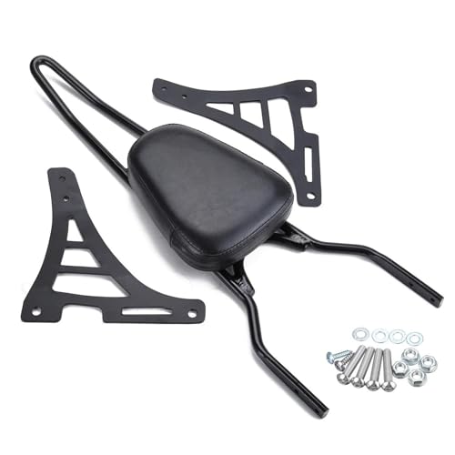 Sissy bar pour Harley Sportster XL883C et XL1200R dossier de passager moto 2004-2020