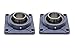 2 PCS - UCF 204/SF20 20 mm, in ghisa con flangia Cuscinetto-Cuscino allineamento cuscinetto