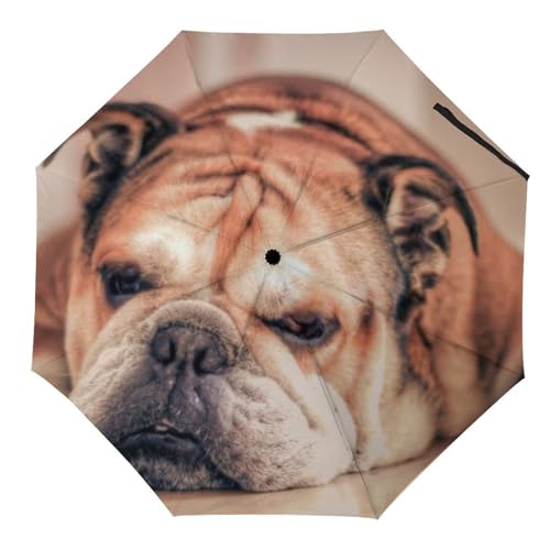 Parapluie coupe-vent pliable bulldog anglais pour ne plus finir trempé