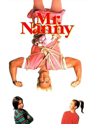 Mr. Nanny