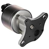 Delphi EG10175 EGR Valve