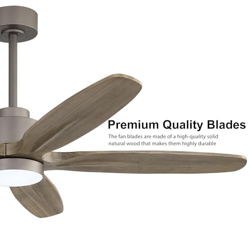 Image of WINGBO 54 inch Ceiling Fan with Light - 5 Carved Solid Wood Blades, 6-Speed Reversible DC Motor, Dimmable, 3CCT, Noiseless Remote Control Ceiling Fans with Lights for Bedroom Living Room, Charcoal Gray