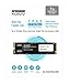 KLEVV CRAS C710 1TB M.2 NVMe PCIe Gen3x4 Internal SSD up to 2100MB/s (K01TBM2SP0-C71)