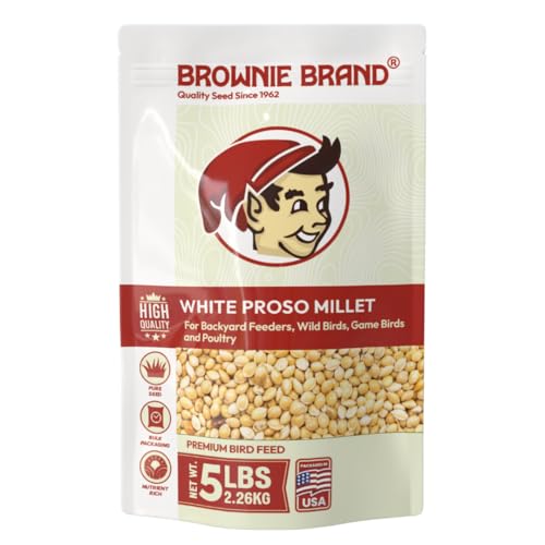BROWNIE Brand White Proso Millet Bird Feed for Bird Feeder | Premium Wild Bird Food for Sparrows Finches and Doves | High-Energy Non-GMO All-Season Feed for Feeders (5 Pound)