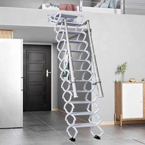 12 Steps Wall-Mounted Steel Ladder