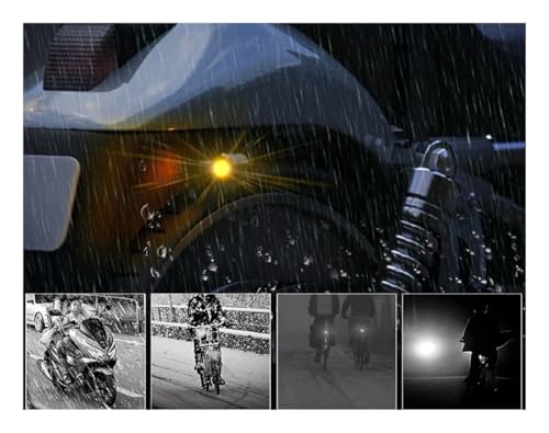 Feu arrière LED jaune pour plaque d'immatriculation de moto style Eagle Eye - 4