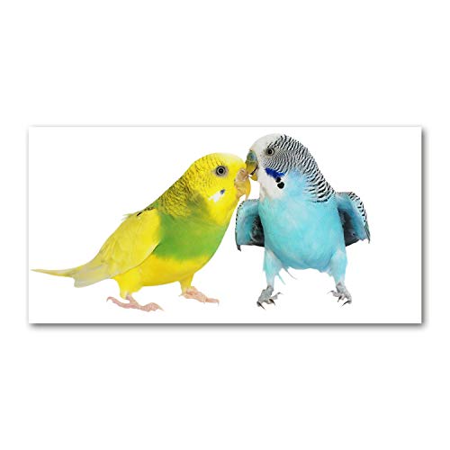 Toile budgies multicolores 120x60 cm pour une décoration murale nature