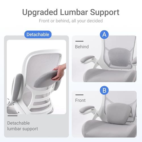 Image of HYLONE 400lbs Heavy Duty Office Chair, 5 inch Thickened Seat Ergonomic Desk Chair with Adjustable Armrests, Home Office Computer Chairs for Long Hours Mesh Executive Chair(Grey)