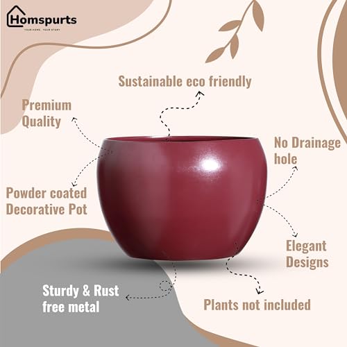 Image of Sunshine Elegant Matte Finished Dustfree Tabletop Red Flower Pot Planter | Metal Plant Pot for Indoor Succulent Plants, Living Room, Home Decor, Office, Restaurant