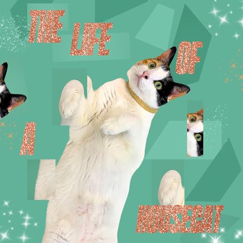 『THE LIFE OF A HOUSECAT: CAT TRIVIA』のカバーアート