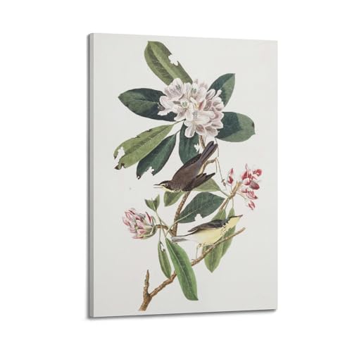 John James Audubon décoration murale chambre salon cadre oiseau 40x60