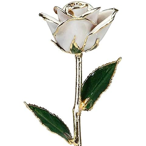 Allmygold Snow White 24k Gold Dipped Long Stem Genuine Rose Cover