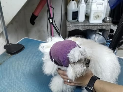Image of Dog Head Cover Keep Calm Ear Wrap Hematoma for Bathing, Grooming, Thunder & Fireworks Pail Lilac+Pink M