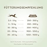 Terra Canis Kaninchen, Kürbis & Blaubeere - Sensitiv Nassfutter, 6x800g I Premium Hundefutter für verdauungssensible Hunde I Allergenfrei, getreidearm & leicht verdaulich
