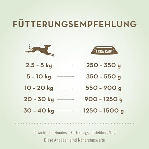Terra Canis Huhn, Kartoffel & Himbeere - Sensitiv Nassfutter, 6x400g I Premium Hundefutter für verdauungssensible Hunde I Allergenfrei, getreidearm & leicht verdaulich