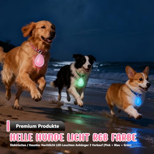 HOSPAOP LED Leuchtanhänger für Hunde, 3 Stück USB Wiederaufladbare Sicherheitslicht Hundelicht mit 3 Leuchtmodi, Blinklicht für Hundehalsband, Kinder Schulranzen, Katzen, Jogger