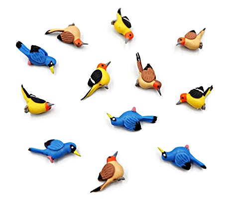 1shopforyou Mixed Lot of 12 Miniature 'Robin & Blueprint Bird Outdoor Patio Decor Fairy Garden Supplies Animal Figurine Furniture Dollhouse