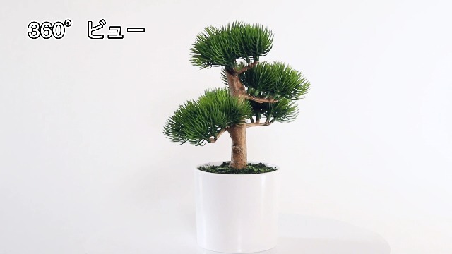 Amazon｜フェイクグリーン 人工観葉植物 松の木 松盆栽 高さ25cm 観葉