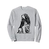 ドッグキャバリアキングチャールズ・スパニエル トレーナー