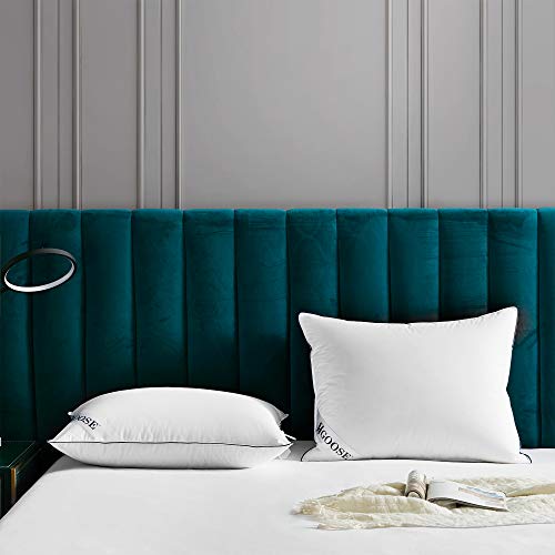 Byourbed Triple Chamber