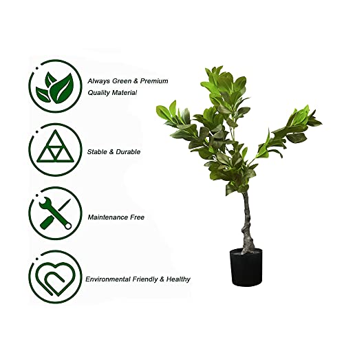 Image of Kayra Decor 3 Feet Rubber Ficus Plant - Artificial Tall Plants for Home Decor with Pot (Black)