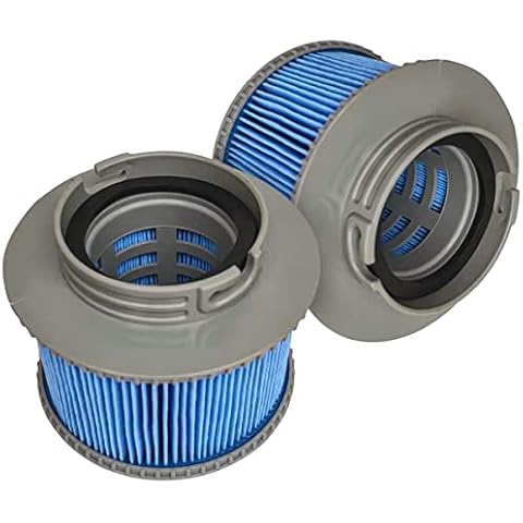 FFyan Replacement Pool Filter Cartridges, Filter Cartridges Parts for MSPA FD2089, Filter Cartridge Pump Suitable for MSPA All Current Whirlpools (Improved Version 2 Pieces) Cover