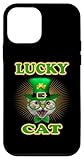 Lucky Cat Leprechaun St Patricks Day