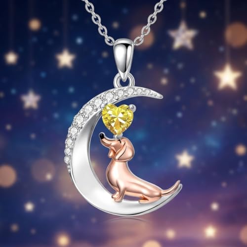 Image of PROESS Animal Birthstone Necklace 925 Sterling Silver Otter /Axolotl /Hippo /Elephant /Dachshund /Monkey /Red Panda Pendant Necklace Animal Birthstone Jewelry Gifts for Women