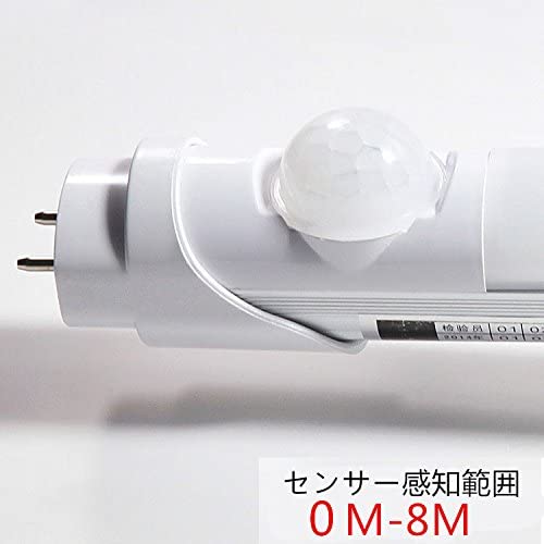 LEDlZT[u 20W`  58cm O[Hsv Fx6000K F wʂ̓A~M S