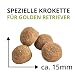Wildsterne Breed Selection Golden Retriever, 10 kg | Getreidefreies Trockenfutter | Monoprotein | von Tierärzten entwickelt