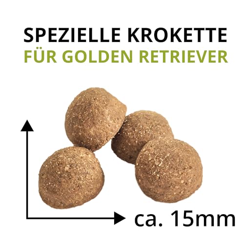 Wildsterne Breed Selection Golden Retriever, 10 kg | Getreidefreies Trockenfutter | Monoprotein | von Tierärzten entwickelt