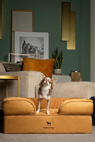 Image of NOAH & PAW Dog Bed, 28x23x11 Inch, Orthopedic Dog Beds for Medium Size Pets, Eggshell Memory Foam Infused with Cooling Gel, Inner Cover, Water Resistant, Machine Washable (Faux Leather)