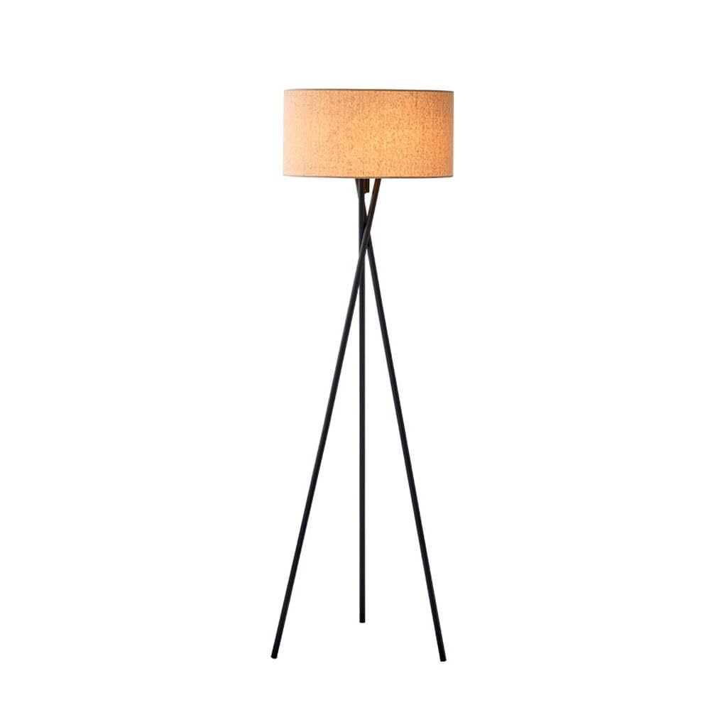 Amazon.com: ZCSO Ambient Lighting Simple Nordic Floor Lamp, Living