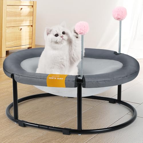 Cat Bed Elevated Cat Hammock for Indoor Outdoor Large Cats, Cat Dog Raised Pet Bed Stable & Breathable Easy Assembly, Small Outdoor Bed for Sleeping Kittens Dog Oval Hammock with Toy Ball,(Grey)