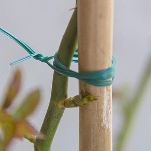 Ubersweet® Imported 164 Feet Garden Twine Plant Ties Ties with Cutter for Gardening Plants Secure Vines Wrapping Cords Office Organization_176915