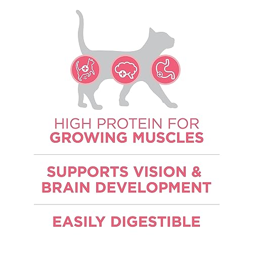Purina ONE +Plus Dry Kitten Food, Chicken - 1.8 kg Bag image 8