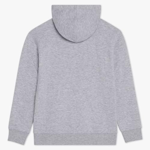 Image of Champion boys Graphic Hoodie Pullover Sweatshirt for Kids With Stylish Embellishments
