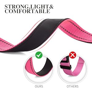 2-Pack-Reflective-Dog-Collars-for-Medium-Dogs-Girl-BoysNylon-Durable-Soft-Padded-Neoprene-Male-Female-Dog-Collars-for-Small-Puppy-Extra-Large-Dogs-with-Quick-Release-Safety-BucklePinkBlueM - Cucciolini Doodles   2-Pack-Reflective-Dog-Collars-for-Medium-Dogs-Girl-BoysNylon-Durable-Soft-Padded-Neoprene-Male-Female-Dog-Collars-for-Small-Puppy-Extra-Large-Dogs-with-Quick-Release-Safety-BucklePinkBlueM