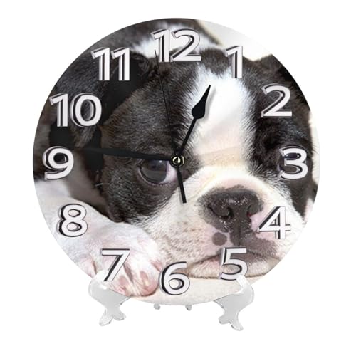 ボストンテリア 犬柄 掛け時計 おしゃれ 北欧 壁掛け時計 静音 自宅 寝室 部屋飾り 贈り物 インテリア 大数字 直径25cm 非電波 誕生日 プレゼント