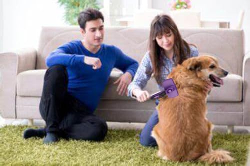Self-Cleaning-Slicker-Brush-for-Dogs-Cats-Brush-for-Shedding-Grooming-Brushes-for-Long-Short-Haired-Pets-Purple