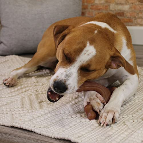 Image of Nylabone Strong Chew Gourmet Style Dog Chew Toy Bundle, Large, 3 Count | Baby back ribs, aged cheddar, and filet mignon flavor, durable dog toys, variety of shapes, long lasting, dogs up to 50 lbs