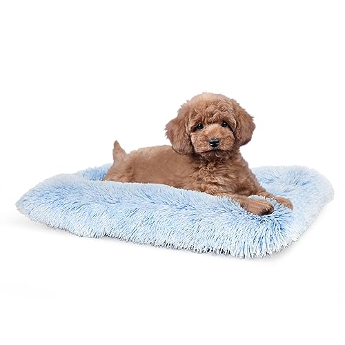 Dog Crate Bed 24 Inch Washable,Crate Beds for Small Dogs for Kennel Cage Travel Car Camping,Square Dog Bed Kennel Pad Plush Puppy Mat Pet Cushion Sleep Senior Fluffy Calming Cute fit Yorkie Dog Crate Bed 24 Inch Washable,Crate Beds for Small Dogs for Kennel Cage Travel Car Camping,Square Dog Bed Kennel Pad Plush Puppy Mat Pet Cushion Sleep Senior Fluffy Calming Cute fit Yorkie