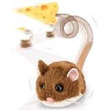 Migipaws Interaktives Katzenspielzeug, elektrisch rollende Migimaus mit wackelndem Schwanz,Intelligenter Sensor, Quietschen, Katzenspielzeug selbstbeschäftigung mit Katzenminze,wiederaufladbar