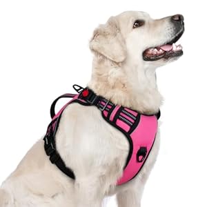 rabbitgoo Dog Harness for Large Dogs, No Pull Pet Harness with Soft Padded Handle, Adjustable Reflective Vest with 3 Buckles, Easy Walking Harness with 2 Leash Clips, Pink, L