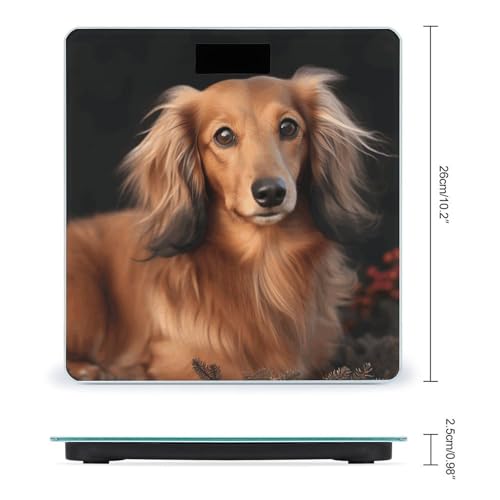 Báscula digital para baño con diseño Dachshund, vidrio templado miniatura 2