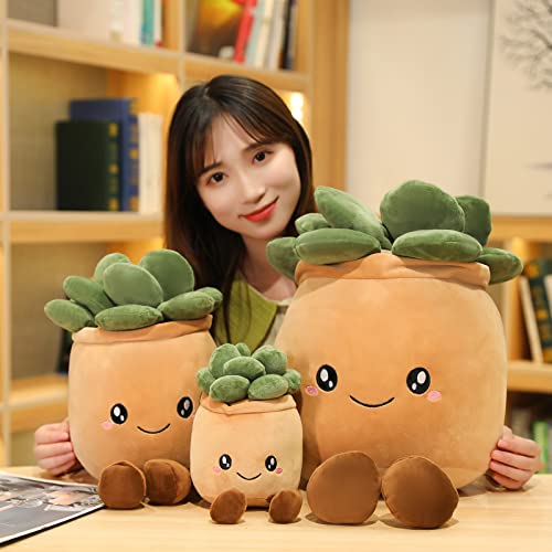 Sqeqe Plant Plush Toy, Plant Stuffed Animals Succulents Plush Pillow Decoration, Soft Plant Plush Pillow, Succulents Plant Throw Pillow Gift For Kids Boys Girls (Smile 2, 9.5'') #TOP1