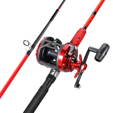 catfish baitcaster combo